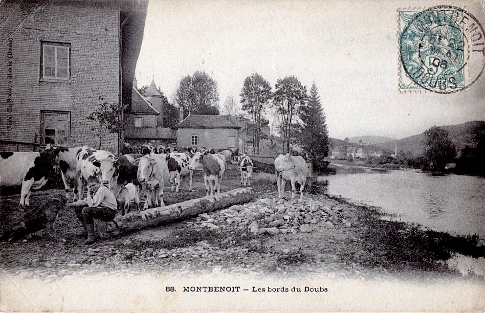 88. MONTBENOIT - Les Bords du Doubs